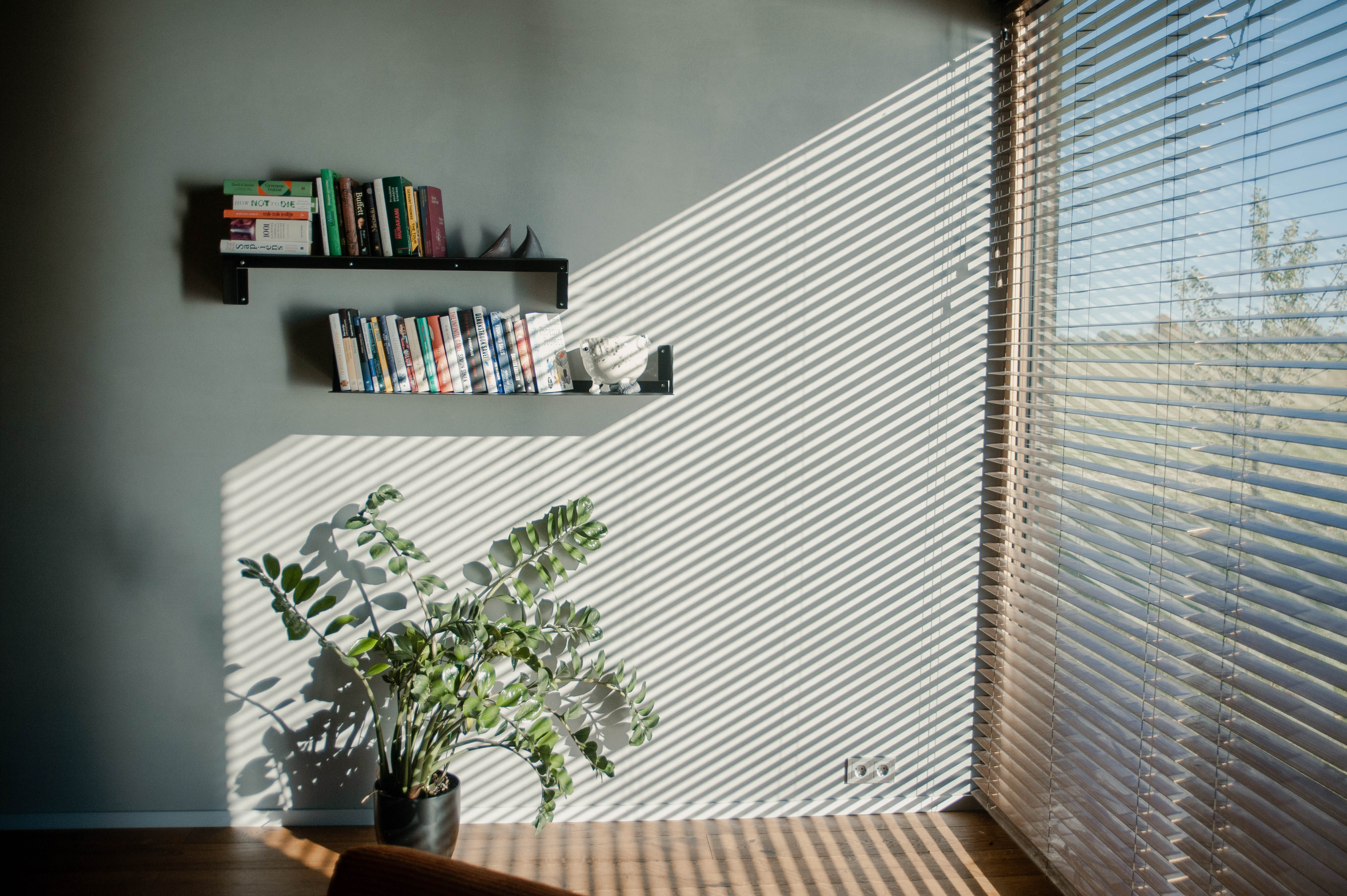 Peaceful reading nook